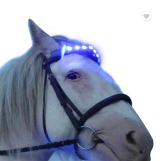 Pandebånd med lys til heste-rideudstyr